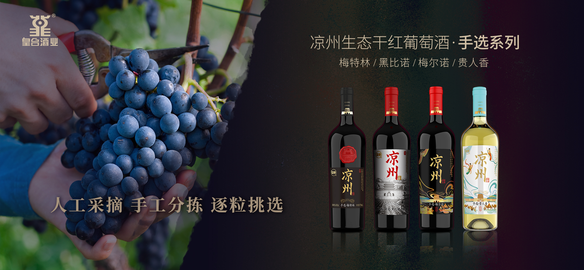 涼州生態干紅葡萄酒.手選系列